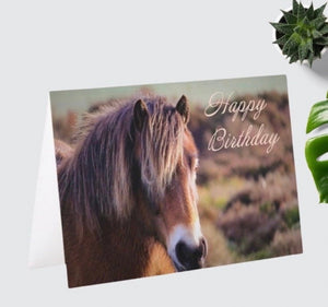 Charming Horse Birthday Card for Horse Lovers