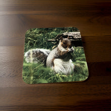 Load image into Gallery viewer, Cute Grey Squirrel Wooden Coaster Set
