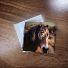 Load image into Gallery viewer, Charming Horse Greeting Card for Horse Lovers
