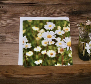 Delightful Daisy-themed Blank Card for Any Occasion