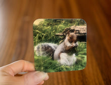 Load image into Gallery viewer, Cute Grey Squirrel Wooden Coaster Set
