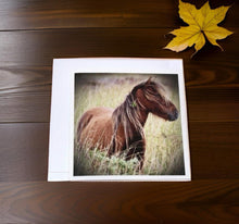 Load image into Gallery viewer, Charming Wild Horse Greeting Cards
