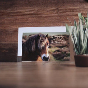 Charming Horse Birthday Card for Horse Lovers