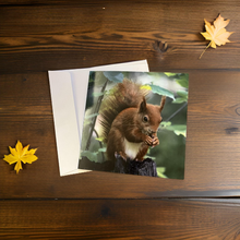 Load image into Gallery viewer, Adorable Red Squirrel Card for Any Occasion.
