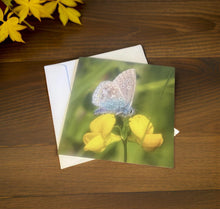 Load image into Gallery viewer, Common Blue Butterfly-Blank Cards Suitable for Any Occasion.
