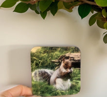 Load image into Gallery viewer, Grey Squirrel Glossy Single Coaster
