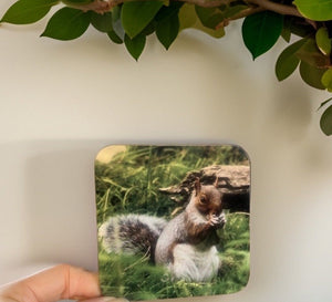 Grey Squirrel Glossy Single Coaster