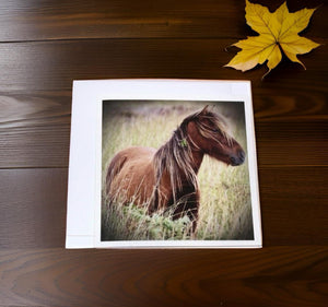 Charming Wild Horse Greeting Cards