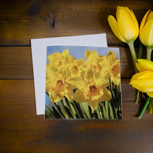 Load image into Gallery viewer, Dazzling Daffodil Greeting Cards Perfect for Every Celebration
