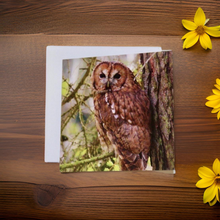 Load image into Gallery viewer, Tawny Owl Glossy Blank Greeting Cards
