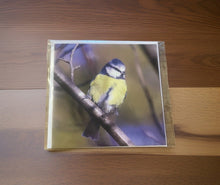 Load image into Gallery viewer, Chirpy Blue tit Blank any Occasion Greeting Card
