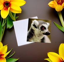 Load image into Gallery viewer, Playful Lemur Blank any Occasion Greeting Card
