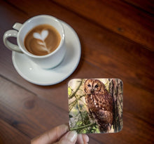 Load image into Gallery viewer, Tawny Owl Glossy Single Coaster
