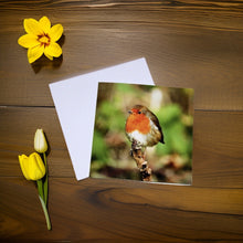 Load image into Gallery viewer, Chirpy Robin Blank any Occasion Greeting Card
