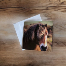 Load image into Gallery viewer, Charming Horse Greeting Card for Horse Lovers
