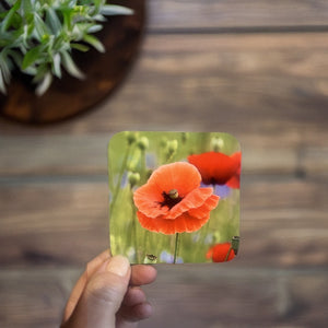 Striking Poppy Glossy Wooden Coaster Set