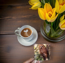 Load image into Gallery viewer, Tawny Owl Glossy Single Coaster
