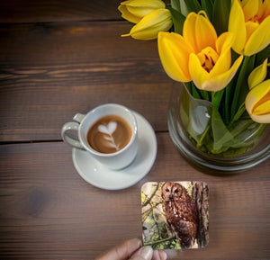 Tawny Owl Glossy Single Coaster