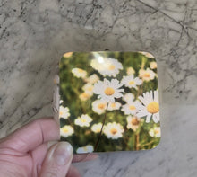 Load image into Gallery viewer, Delightful Daisy Glossy Wooden Coaster Set
