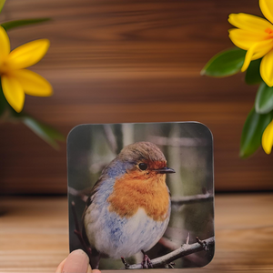 Chirpy Robin Glossy Single Coaster