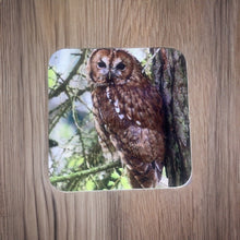 Load image into Gallery viewer, Captivating Woodland Tawny Owl Glossy Wooden Coaster Set
