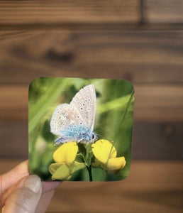 Blue Butterfly Glossy Single Coaster