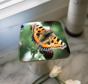 Butterfly Glossy Single Coaster