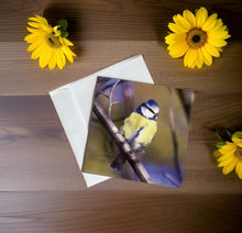 Load image into Gallery viewer, Chirpy Blue tit Blank any Occasion Greeting Card
