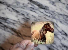 Load image into Gallery viewer, Wild Horse Glossy Single Coaster
