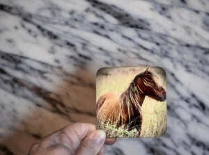 Wild Horse Glossy Single Coaster