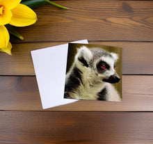 Load image into Gallery viewer, Playful Lemur Blank any Occasion Greeting Card
