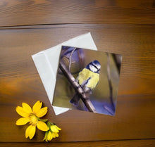 Load image into Gallery viewer, Chirpy Blue tit Blank any Occasion Greeting Card
