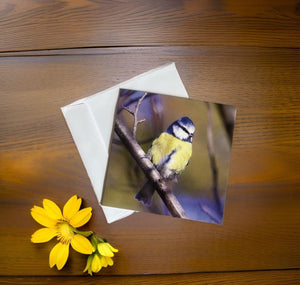 Chirpy Blue tit Blank any Occasion Greeting Card