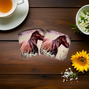 Charming Wild Horse Glossy Wooden Coaster Set