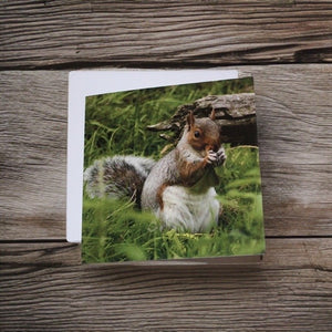 Adorable Grey Squirrel Card for Any Occasion.