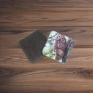 Captivating Woodland Tawny Owl Glossy Wooden Coaster Set