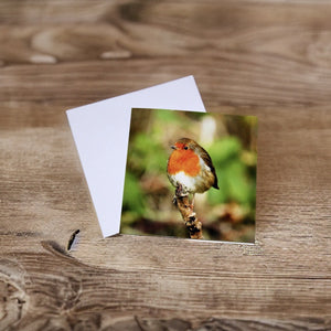 Chirpy Robin Blank any Occasion Greeting Card