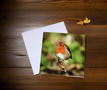 Load image into Gallery viewer, Chirpy Robin Blank any Occasion Greeting Card
