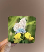 Load image into Gallery viewer, Blue Butterfly Glossy Single Coaster
