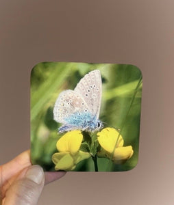 Blue Butterfly Glossy Single Coaster