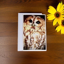 Load image into Gallery viewer, Captivating Woodland Tawny Owl Blank Greeting Card
