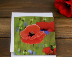 Striking Poppy Greeting Card Blank with White Envelope