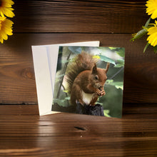 Load image into Gallery viewer, Adorable Red Squirrel Card for Any Occasion.
