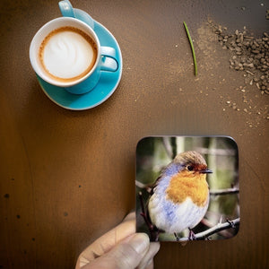 Chirpy Robin Glossy Single Coaster