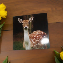 Load image into Gallery viewer, Majestic Fallow Deer Blank Greeting Cards for Any Occasions
