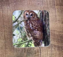 Load image into Gallery viewer, Tawny Owl Glossy Single Coaster
