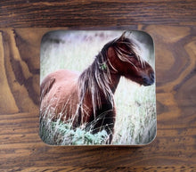 Load image into Gallery viewer, Wild Horse Glossy Single Coaster
