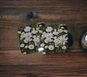 Oxeye Daisy Glossy Single Coaster