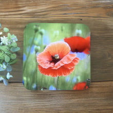 Load image into Gallery viewer, Striking Poppy Glossy Wooden Coaster Set
