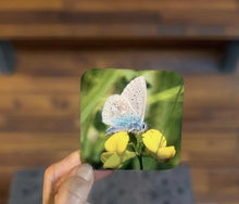 Load image into Gallery viewer, Blue Butterfly Glossy Single Coaster
